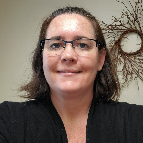 Patricia Lewis Life Insurance Agent Sarasota, FL 34235