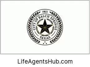 Local Life Insurance Agents in Balch Springs Texas