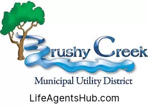 Local Life Insurance Agents in Brushy Creek Texas