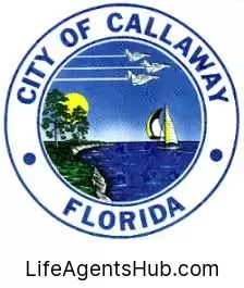 Local Life Insurance Agents in Callaway Florida