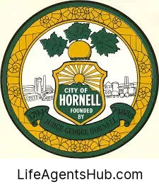 Local Life Insurance Agents in Hornell New York