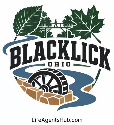 Local Life Insurance Agents in Blacklick Ohio