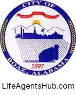 Local Life Insurance Agents in Boaz Alabama