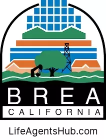 Local Life Insurance Agents in Brea California