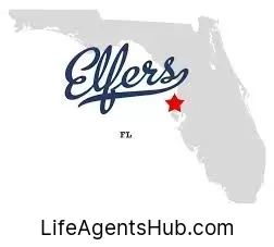 Local Life Insurance Agents in Elfers Florida