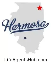 Local Life Insurance Agents in Hermosa Illinois