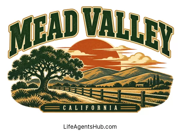 Local Life Insurance Agents in Mead Valley California