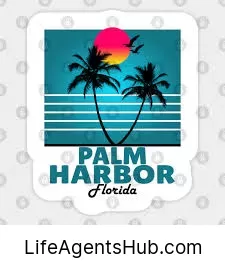 Local Life Insurance Agents in Palm Harbor Florida