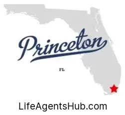 Local Life Insurance Agents in Princeton Florida