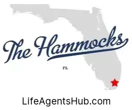 Local Life Insurance Agents in The Hammocks Florida